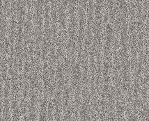 Nature Trail Grey Fox 00504