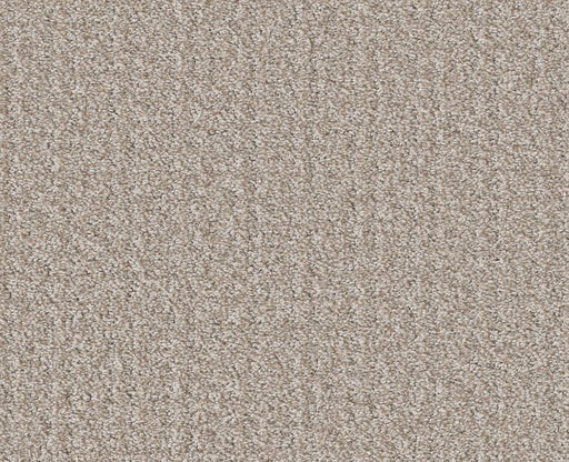 Passing By Shoreline 00106