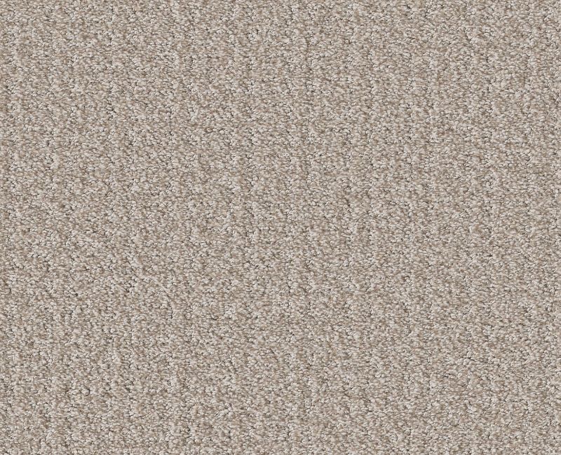 Passing By Shoreline 00106