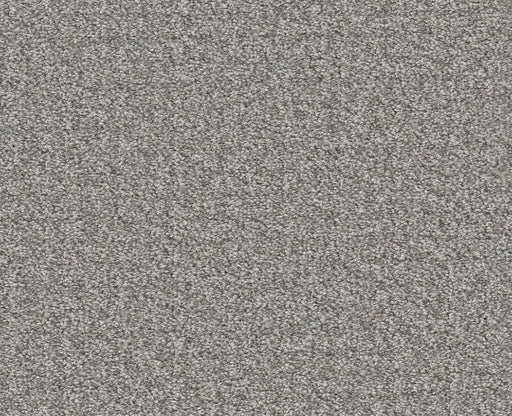 Passing By Grey Fox 00504