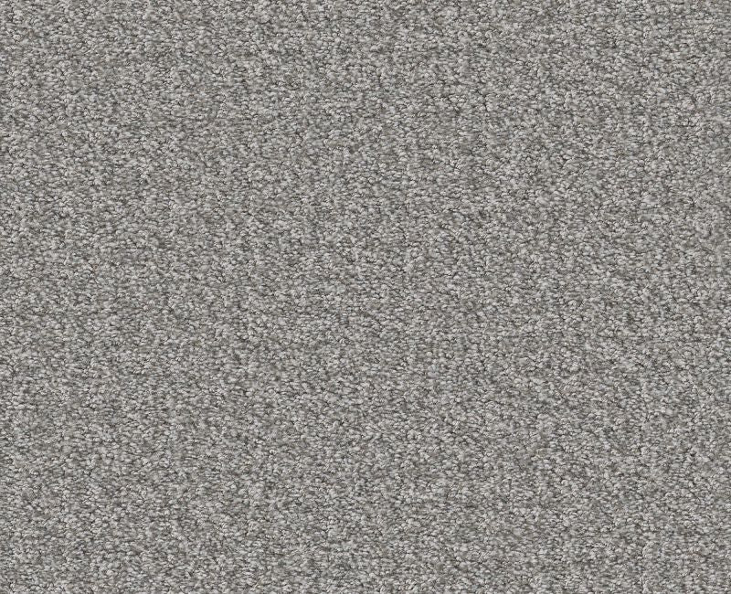 Passing By Grey Fox 00504