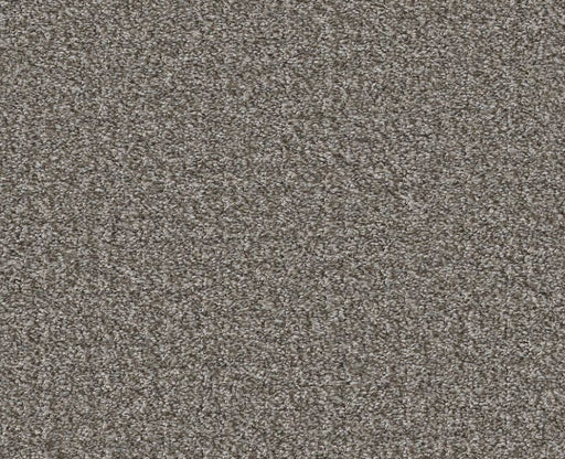 Passing By Dark Maple 00702