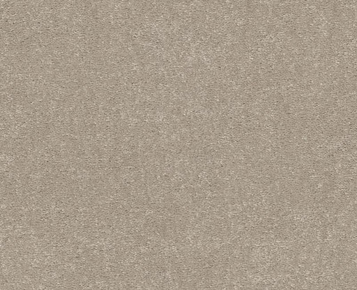 Relentless I 12 Greige 00106