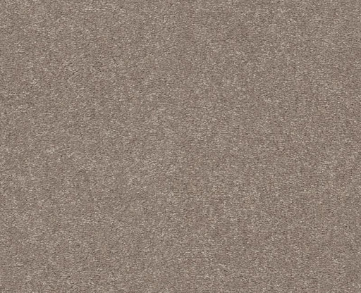 Relentless III 12 Tree Bark 00700