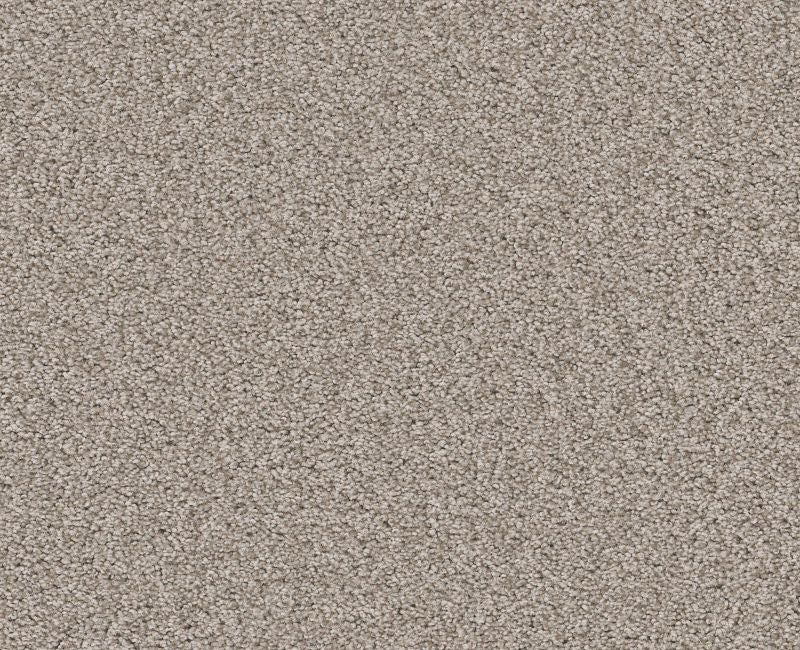 Memorable II Fossil Path 00108