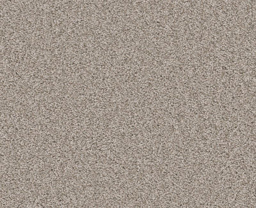 Memorable III Fossil Path 00108