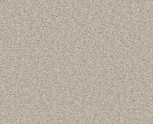 Memorable I Champagne Toast 00153