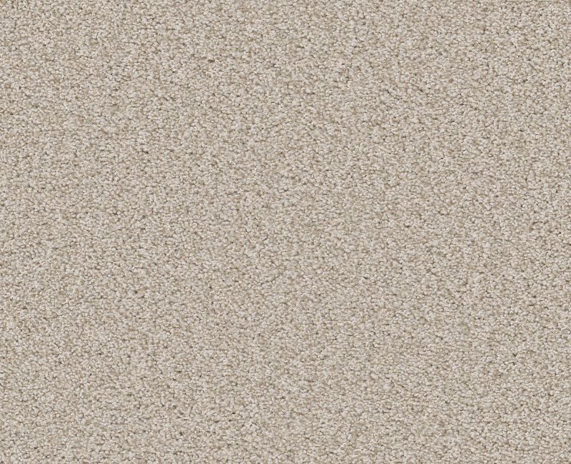 Memorable I Champagne Toast 00153