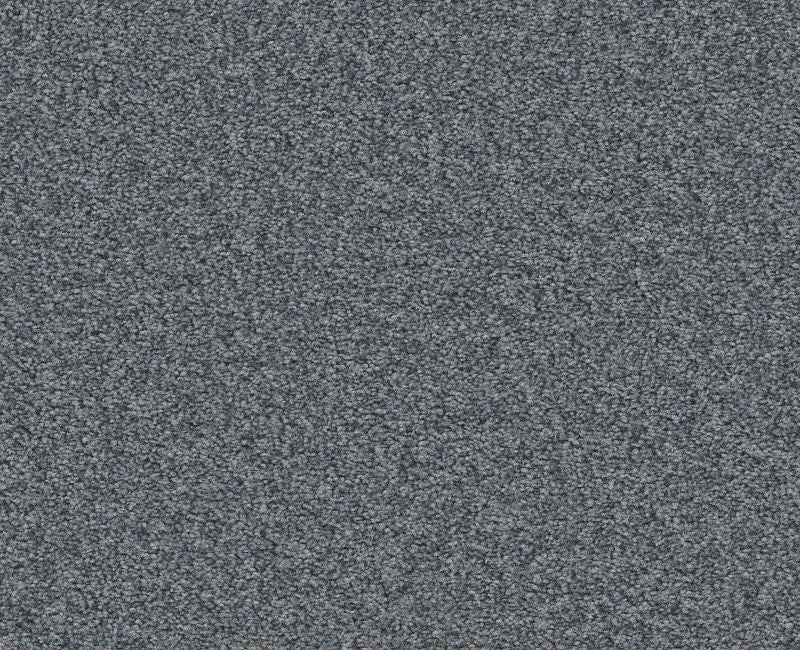 Shaw Memorable III 00437 Indigo Ink Carpet — Stone & Tile Shoppe, Inc.
