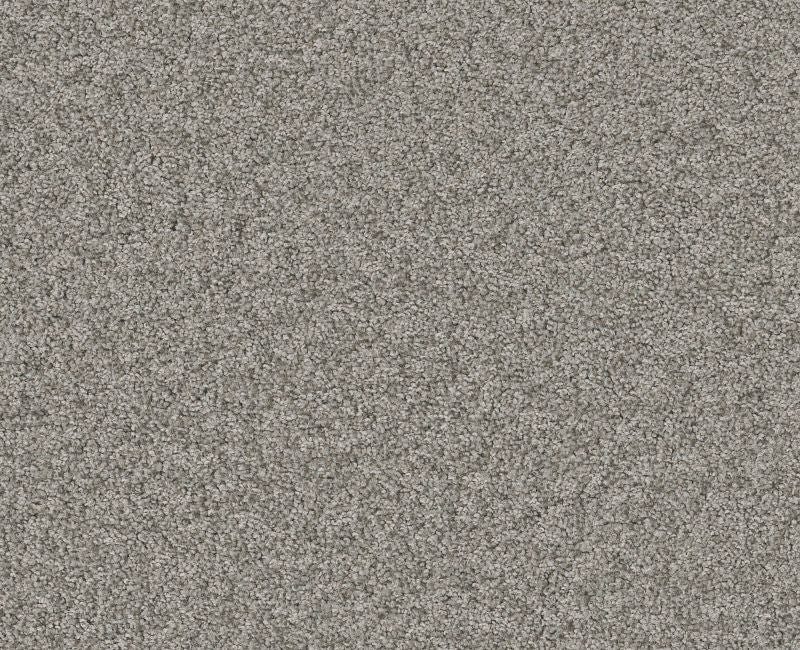 Memorable III Grey Fox 00504