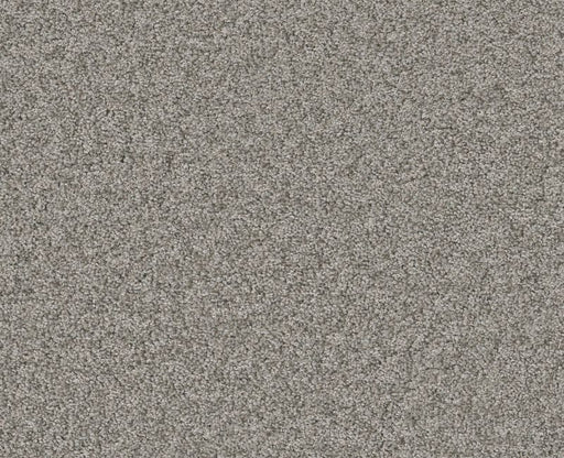 Memorable I Grey Fox 00504