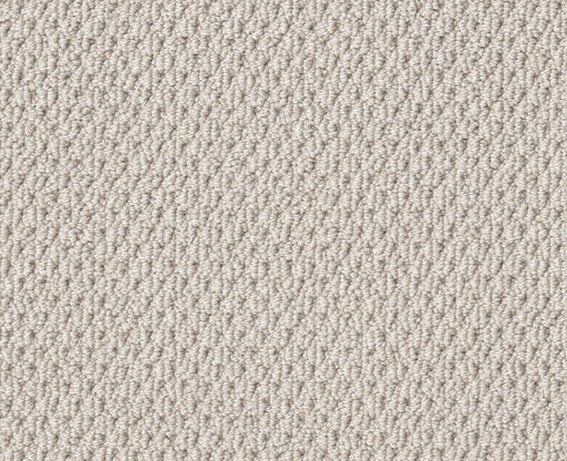 Natural Choice Winters Dawn 00102