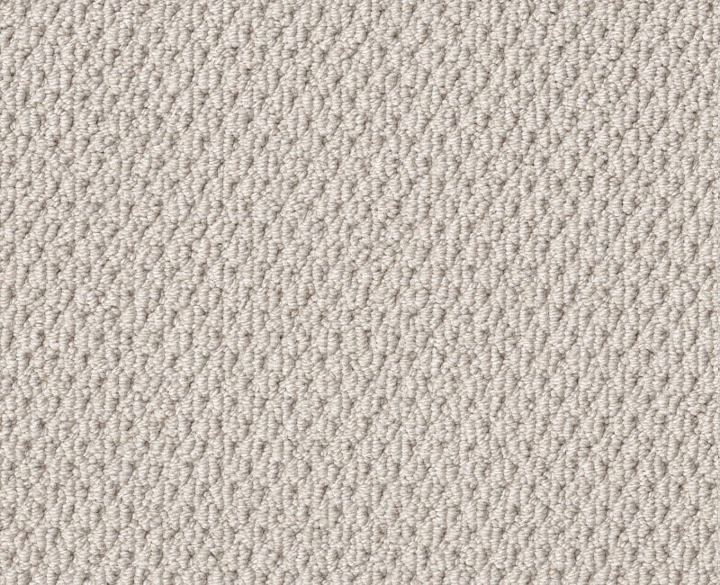 Natural Choice Winters Dawn 00102