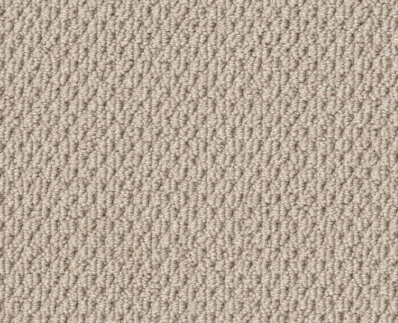 Natural Choice Sun Kissed 00110