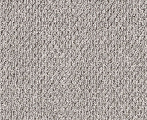 Natural Choice Silver Lining 00500