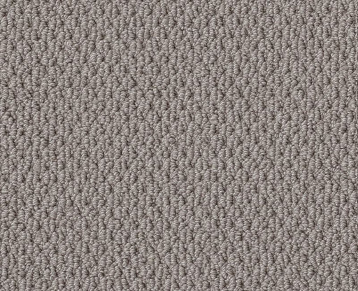 Natural Choice Grey Fox 00504