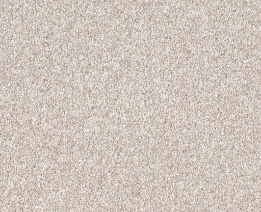 Cavallini Gallery Opening 00101