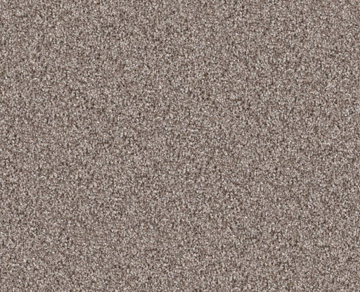 Cavallini Chestnut 00108