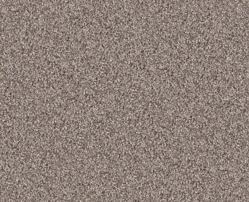 Cavallini Chestnut 00108