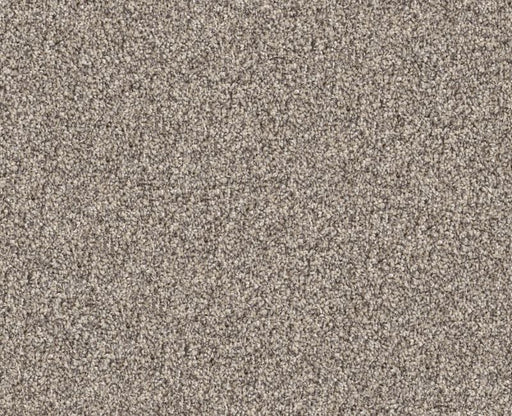 Cavallini Sandstone 00110