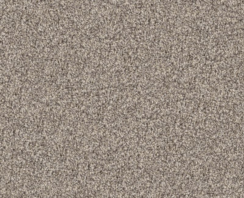 Cavallini Sandstone 00110