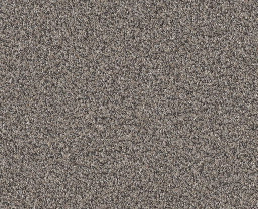 Cavallini Fossil Path 00116