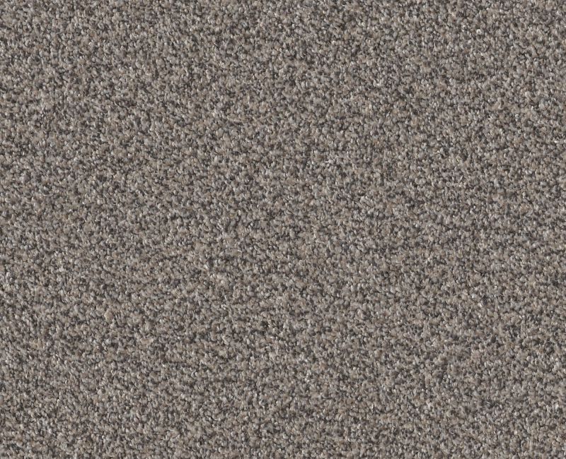 Cavallini Fossil Path 00116