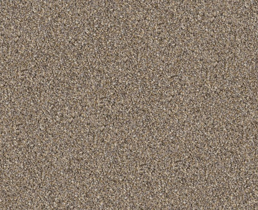 Cavallini Raw Wood 00200