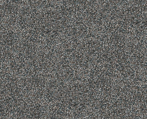 Cavallini Turquoise Jewel 00401