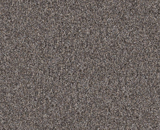 Cavallini Desert View 00503