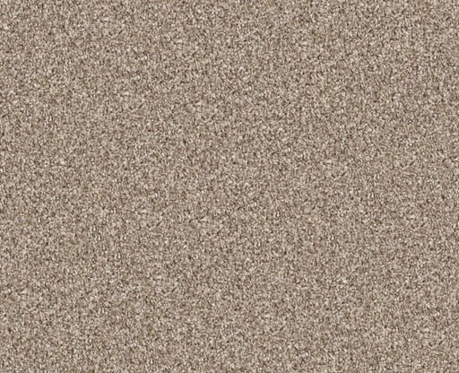 Cavallini Sunkissed 00710