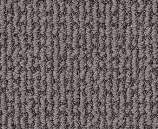 Cunning Choice Dolphin 00507