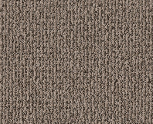 Cunning Choice Chestnut 00701