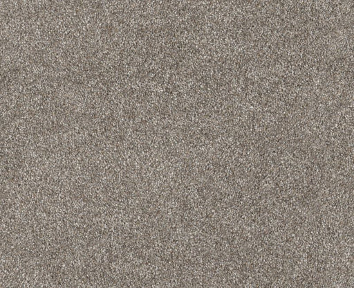 Provisional II Abalone 00101