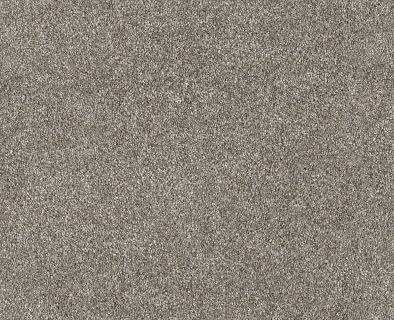 Provisional III Abalone 00101