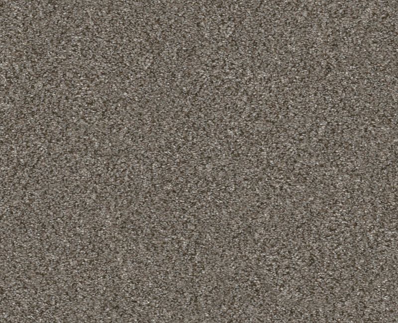 Provisional II Misty Mica 00105