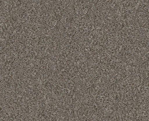 Provisional III Misty Mica 00105