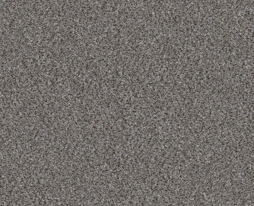 Provisional I Silver Spoon 00502