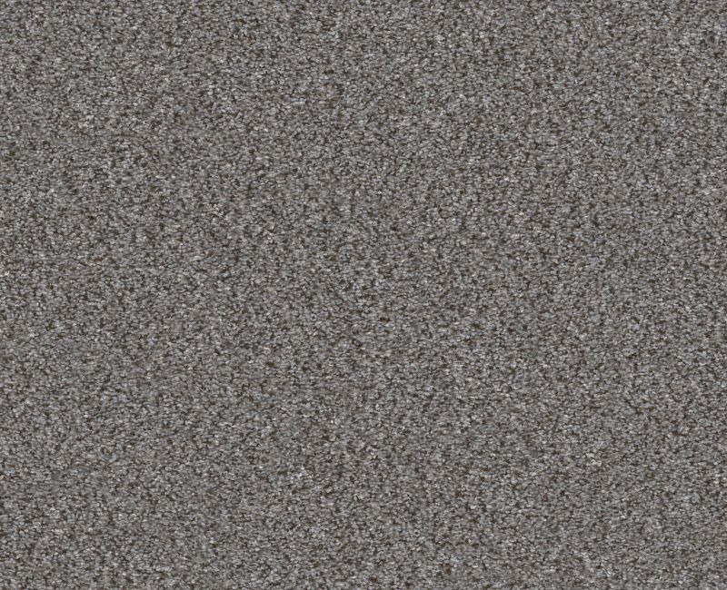 Provisional I Silver Spoon 00502