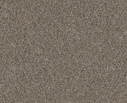 Provisional I Saddle Tan 00700