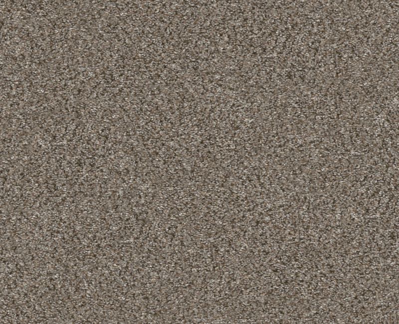 Provisional III Saddle Tan 00700