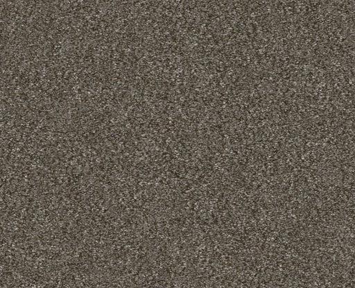 Provisional III Boardwalk 00702