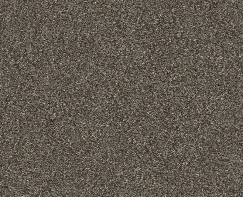 Provisional I Boardwalk 00702