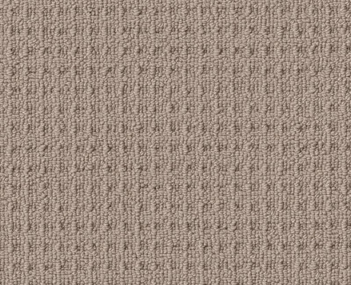 Artful Array Pebble Path 00109