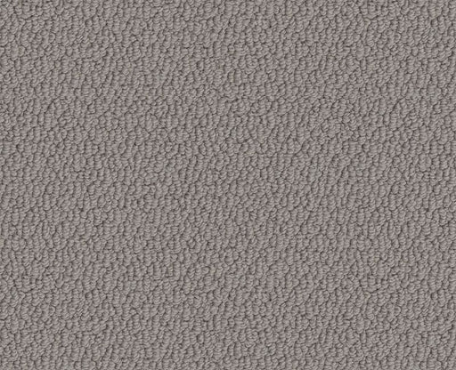 Captious Cozy Throw 00504