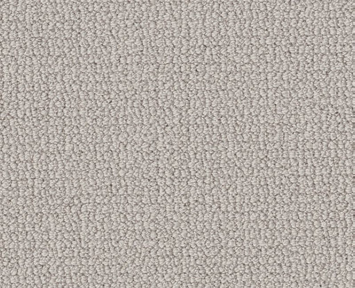 Devious Look Aircraft 00111