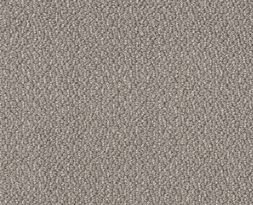 Devious Look Asteroid 00515