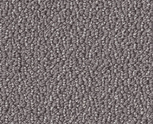 Devious Look Dolphin 00516