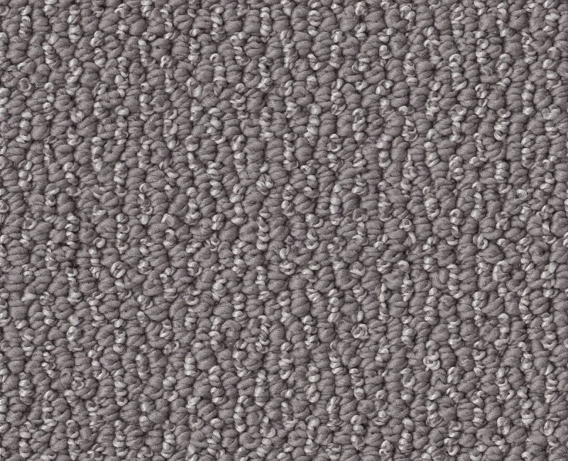 Devious Look Dolphin 00516