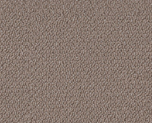 Devious Look Chestnut 00711